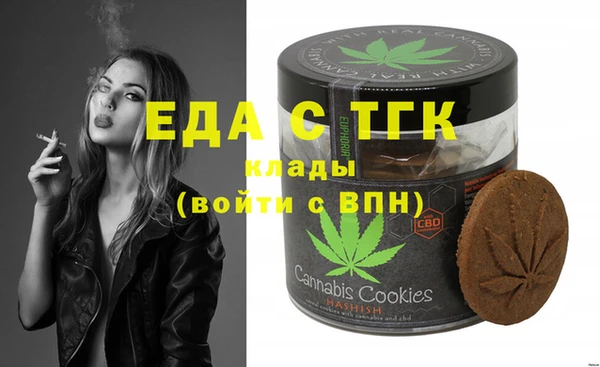 сатива Новозыбков