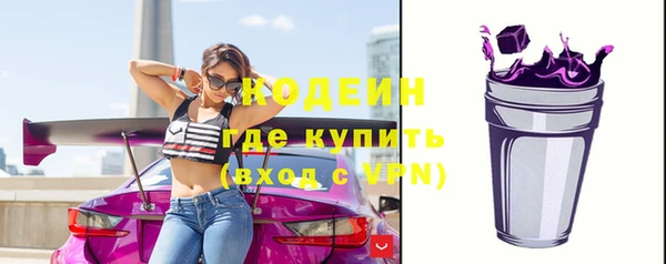 сатива Новозыбков