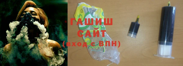 сатива Новозыбков