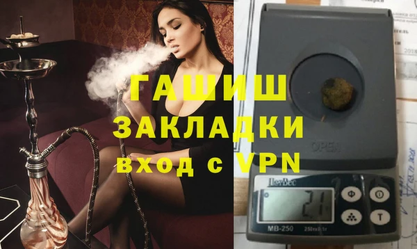 сатива Новозыбков